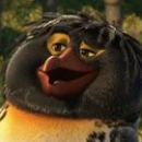 Usuario Bigz
