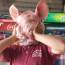 Usuario umsimplesfdp
