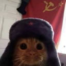 Usuario 迭戈
