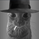 Usuario The_Critic