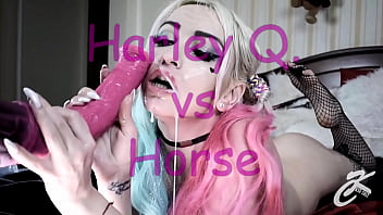 Harley Q. VS Cavalo