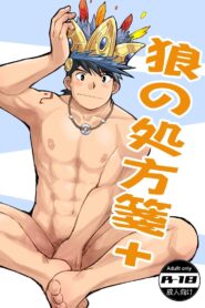 Ookami No Shohousen