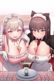 Maid Rehabilitation